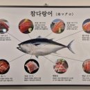 참치어신 이미지