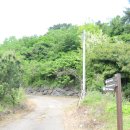 김녕중학교 | 제주 구좌읍 김녕리 오름, 묘산봉(괴살메) 산책 후기