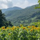 성주 만귀정 | 경북 성주 가야산 자락 만귀정 폭포 포천계곡 여름 피서지 물놀이 명소 삼림욕