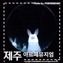 [제주 전시관] no.3 ; 애월 미디어아트 전시 아르떼뮤지엄 제주