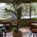 홈인팜스 | 팜스 아일랜드_수완점