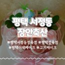 장안 | 평택 서정동 정육점 장안축산 고기케이크 후기