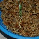 자산동011 이미지