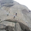 비둘기길 이미지