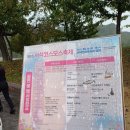 노래하는 하모니카 | 강원도 홍천 서석 코스모스 축제 방문 후기