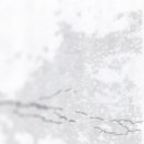 매듭의 조형 이미지