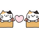 성동글로벌경영고등학교 이미지