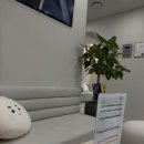 연세리움의원 이미지