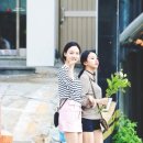나연 Daum카페