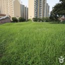 중산동 고분군 이미지