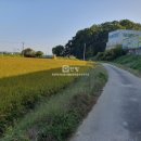 스마트탑공인중개사사무소 이미지