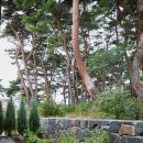 스튜디오콩테 이미지