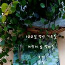 숲이야기 이미지