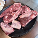 청도양꼬치 | 영등포 양꼬치맛집 청도양꼬치 내돈내산 솔직 후기