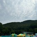 올림피아 수영장 이미지