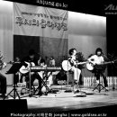 배따라기 이미지