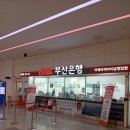 (주)서울여객 | 지난주 다녀온 부산 출발 일본 크루즈 여행 리얼 후기 챙겨가면 좋은 준비물