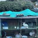 수양호 가족 민박 봉봉 | 경주 가성비 펜션 : 라온펜션(은가비 / 솔직후기)