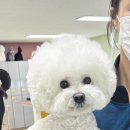 경기평생기술학원