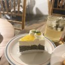 커피홀 인제기린점 | 강남역 카페 썸띵어바웃커피 유자흑임자치즈케이크, 에그쿠키,두바이스콘 솔직후기
