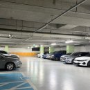 주짓수락 | [오버리미트 현 주짓수 오산대역점] 주짓수 생초보의 도장 방문기 / 오산주짓수 오버리미트 오산대역점...