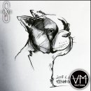 강남에스라인 이미지