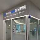 초이스 초이스(choi's choice)