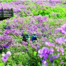 번암죽림정사로 이미지