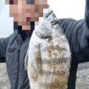 신진수산회센타