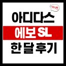 3월 러닝 결산 월 200km 돌파.. 그리고 정형외과행 (아디제로 에보 SL 후기)