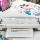 문산보룡약국 이미지