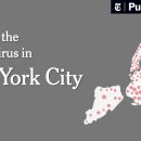 11305-15-96 이미지