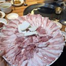그린암돼지한마리