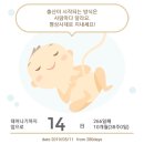본가수퍼