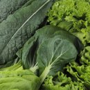 싱싱한마켓 이미지