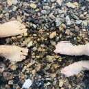 오고가고민박 이미지