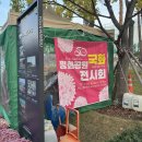 썬더치킨 영도3호점 | 남썬치킨 크리스피양념간장 반반반치킨 후기뿅