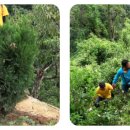 국제가든 이미지