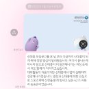 [대외활동]신한은행 대학생 홍보대사/신대홍 42기 합격후기/ 서류, 자기소개 영상,면접 팁🍯