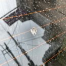 퍼펙트카케어 이미지