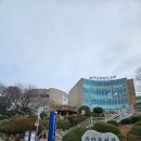 동신대학교 중앙도서관 뒤 | 부산중앙도서관 방문기와 설을 닮은 시 '까치설'