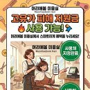 머리애봄 네이버블로그