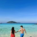 튀기니 | 푸켓 시밀란 섬 투어 러브안다만 그린망고홀리데이 예약 후기