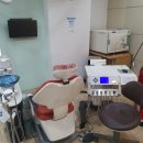 애니얼라인 이미지