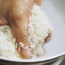 심각한 쌀 씻는 주의할점 ㅡㅡㅡ점 이미지