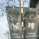 압구정로 이미지