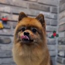 오도독뽀도독 이미지