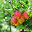 비암농장 이미지