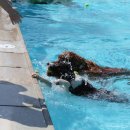 평리3동 행정복지센터 이미지