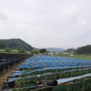 일꾼인력;용역 네이버블로그